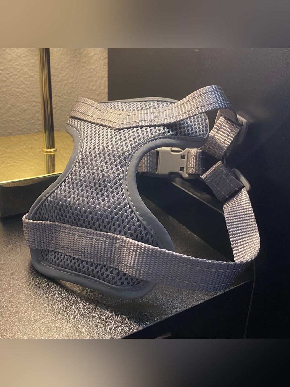 Small Dog Harness - <=25lbs